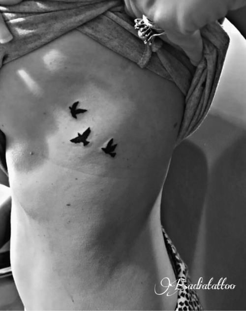 Oiseaux 